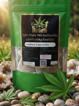 ชาสมุนไพรใบกัญชาในถุงชา (ชาสมุนไพรธรรมชาติ) ถุงชาชง2
