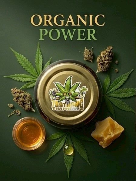 green vibe honey หอมหวานสไตล์สายชิล 🌿🍯 green vibe honey หอมหวานสไตล์สายชิล 🌿🍯